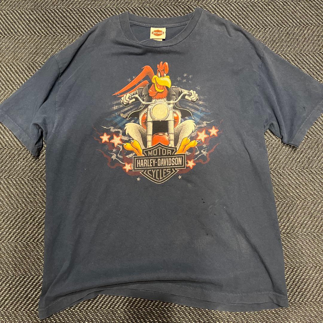 ハーレーダビットソンビンテージtシャツ グレードランドルーニーテューンズ