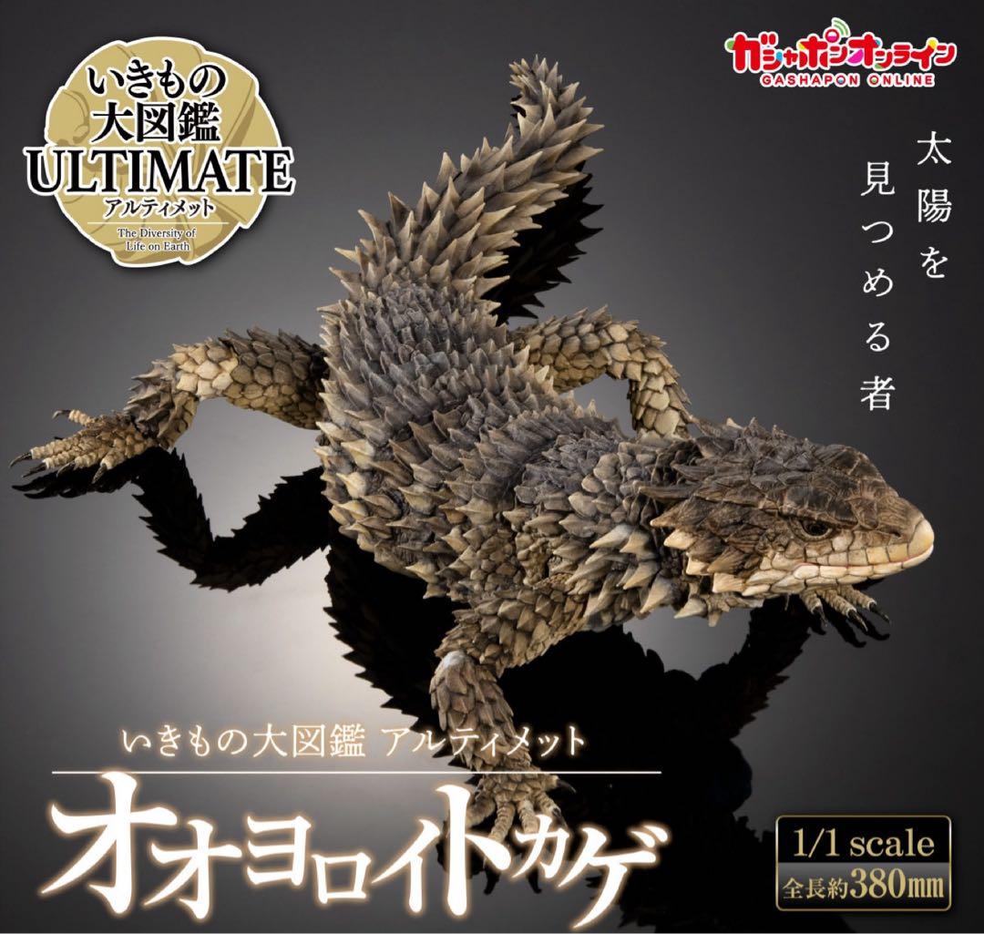 いきもの大図鑑アルティメット オオヨロイトカゲ 新品未開封 ⓵ - メルカリ