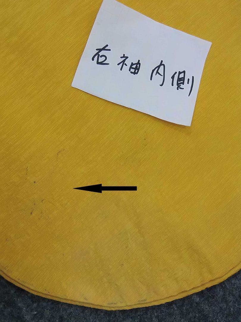 作家物・草野一騎 薔薇咲き誇る振袖×大胆アート構図／イエロー地×華麗