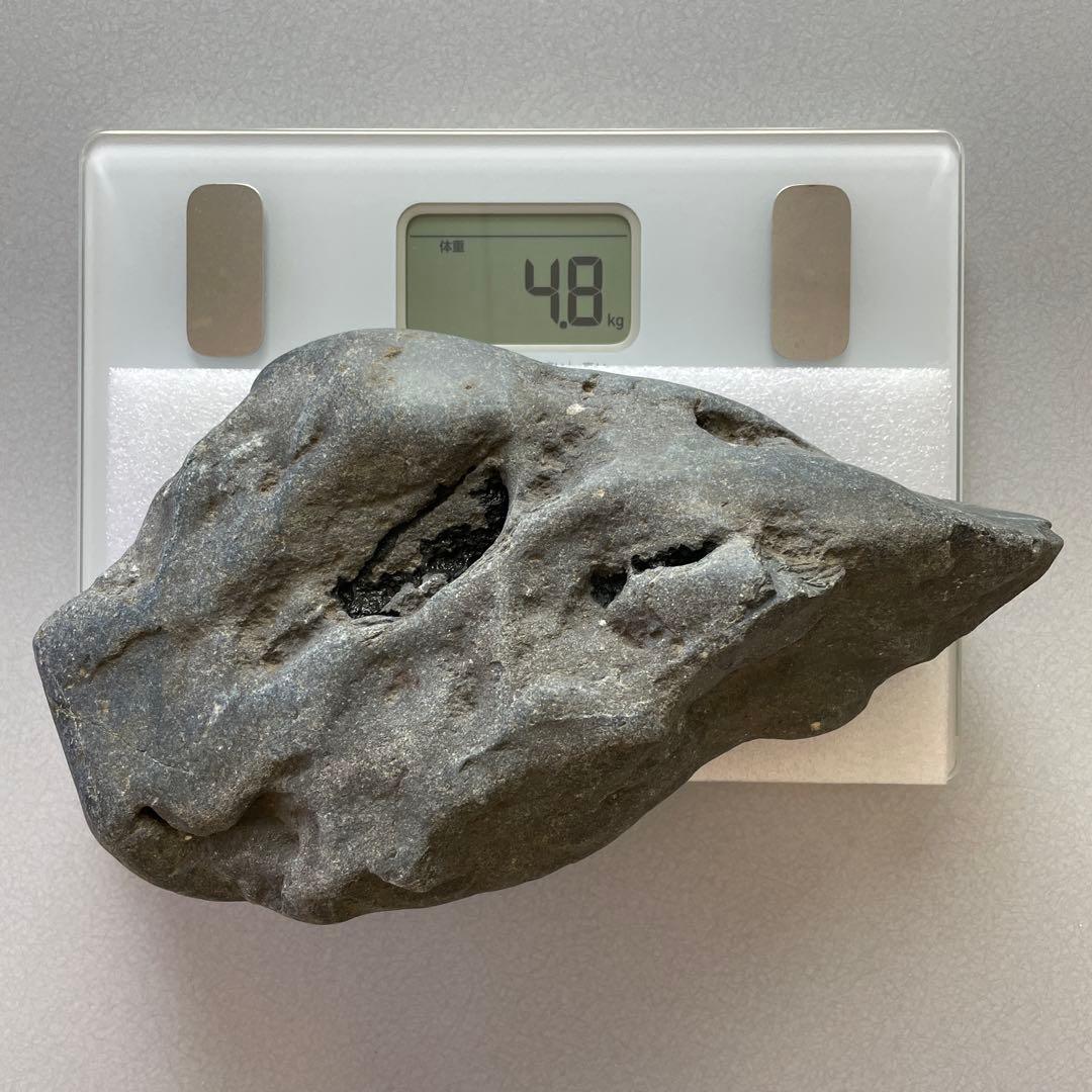 八海石 天然黒石 6個セット 水槽用レイアウト 14kg