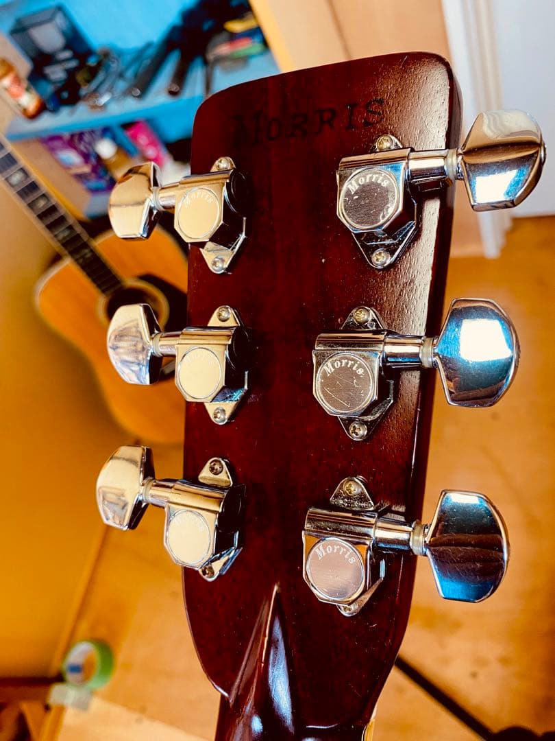 専用！Morris SPECIAL TF-50 トップ単板 ハードケース付き - メルカリ