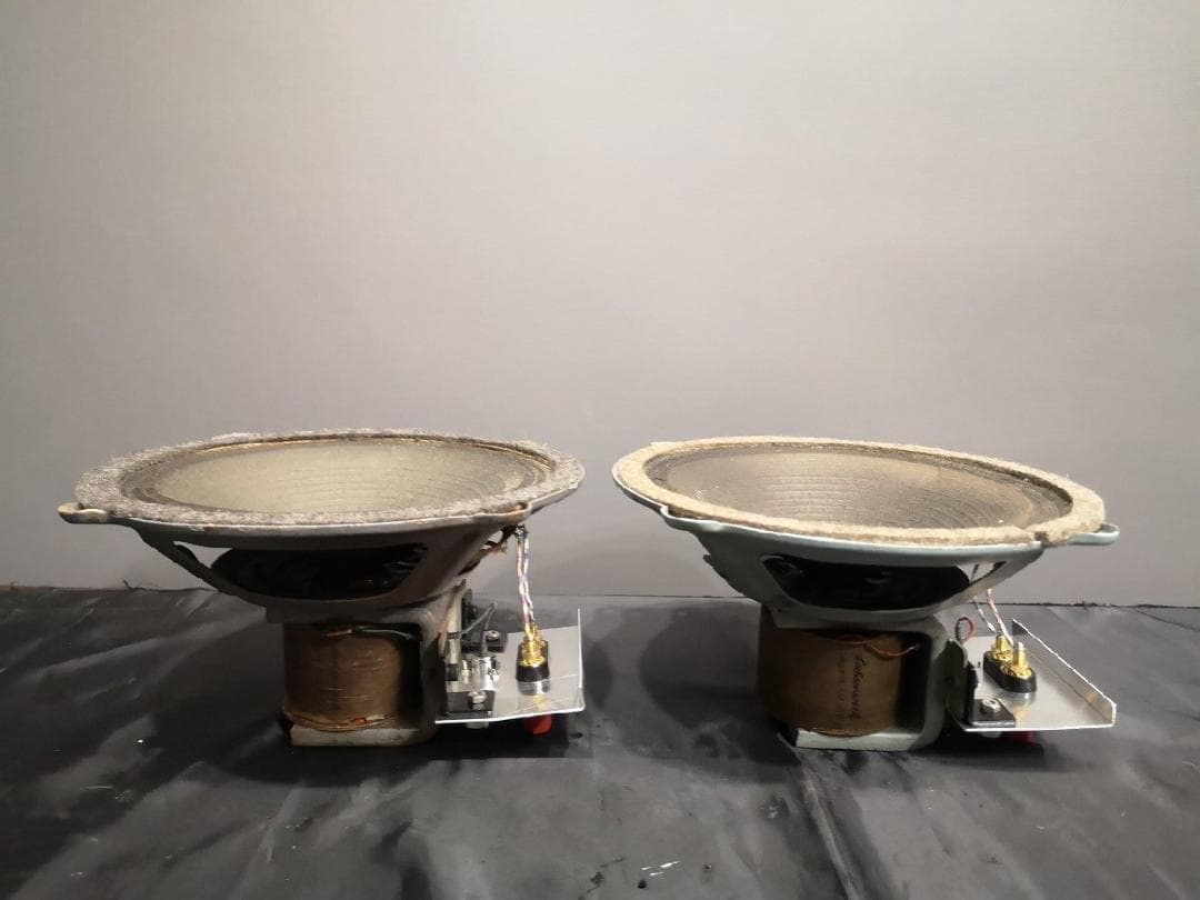 Sachsenwerk 20cm フルレンジ スピーカー m0s8794