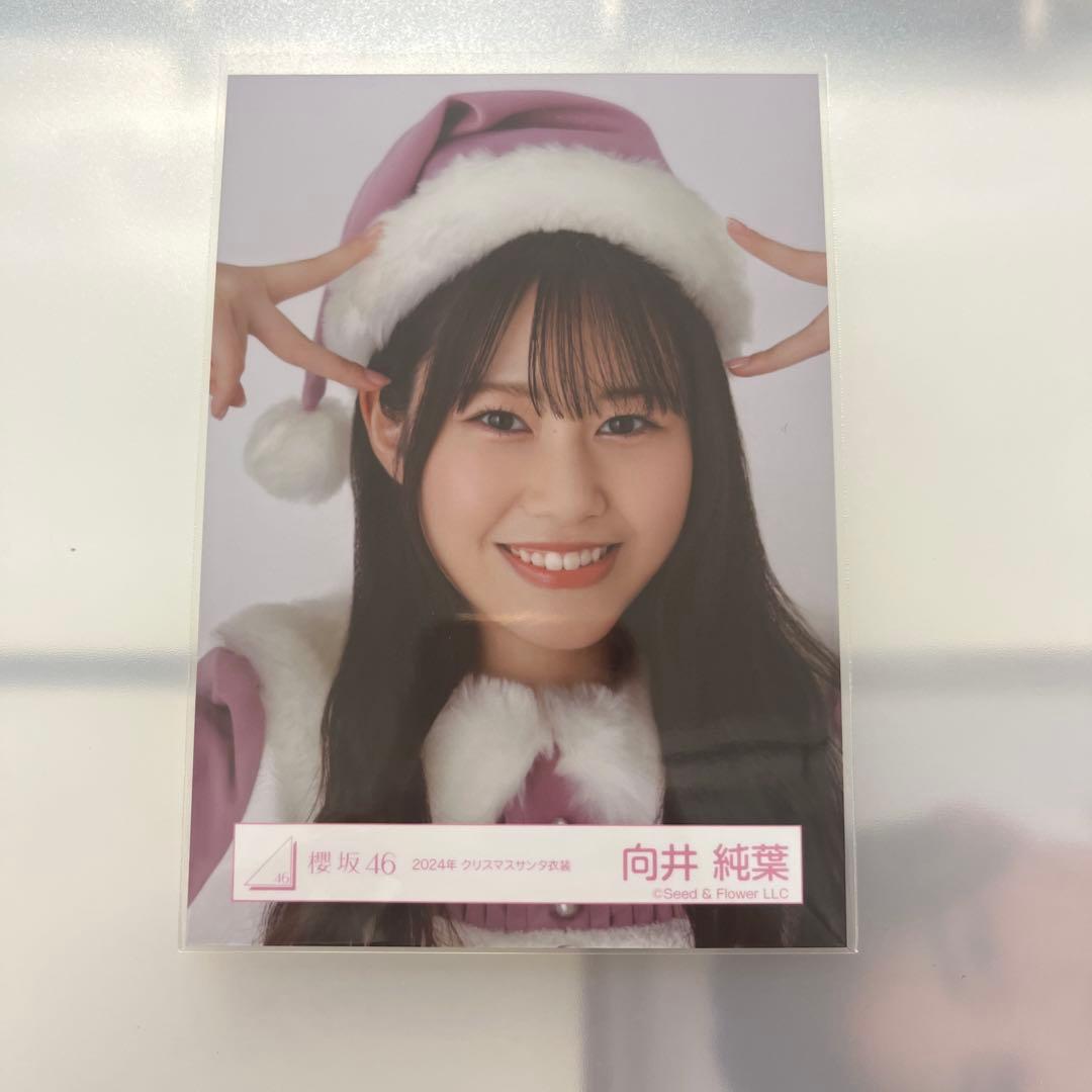 櫻坂46 向井純葉 2024年 クリスマスサンタ衣装 ヨリ - メルカリ