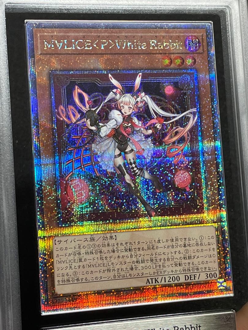 【ARS鑑定 10】M∀LICE<P>White Rabbit 25th 日版