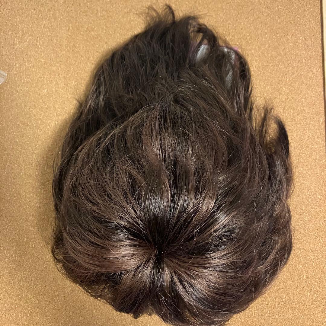 【新品未使用】レオンカ ウィッグ EX-14 F-3