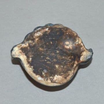 李朝瑠璃釉菊石形水滴』 李氏朝鮮 アンモナイト形 硯滴 水盂