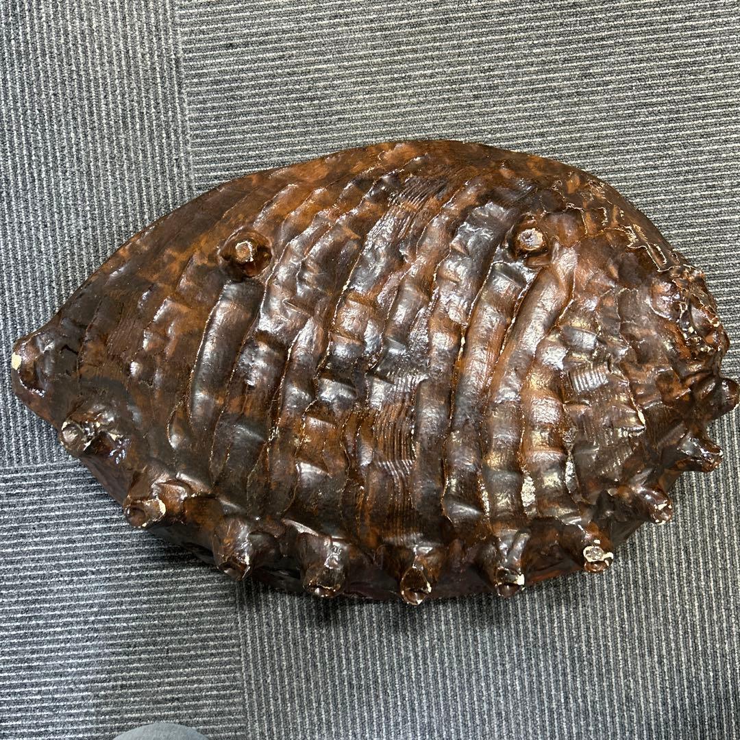 骨董品　大きなアワビの陶磁器