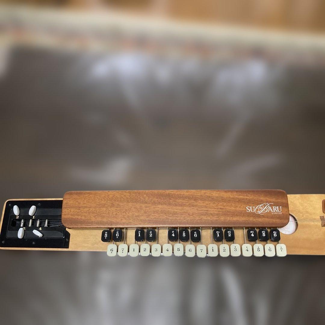 ライリッシュ 大正琴 専用ソフトケース付き ライリッシュ 大正琴 専用ソフトケース付き LYRISH / ライリッシュ