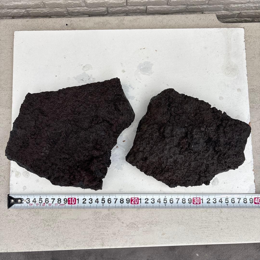 溶岩石 アクアリウム 大きめ 希少 爬虫類 トカゲ 水槽 インテリア レア