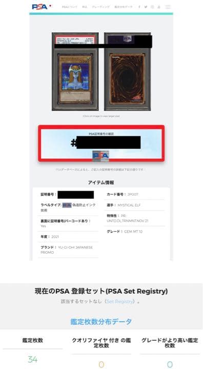 【PSA10】ホーリーエルフ ブルシク ブルーシークレット BGS ARS