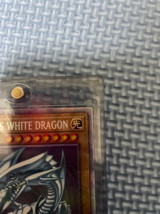 遊戯王 青眼の白龍