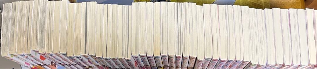 彼女、お借りします かのかり 1~41