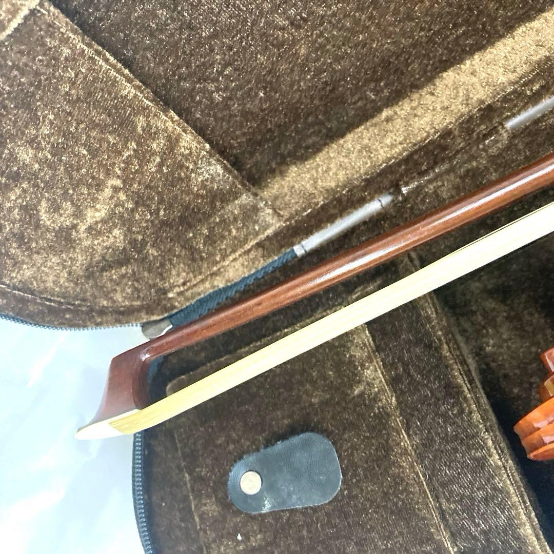 STENTOR 4/4 ヴィオリン ステンター スチューデント スタンダード