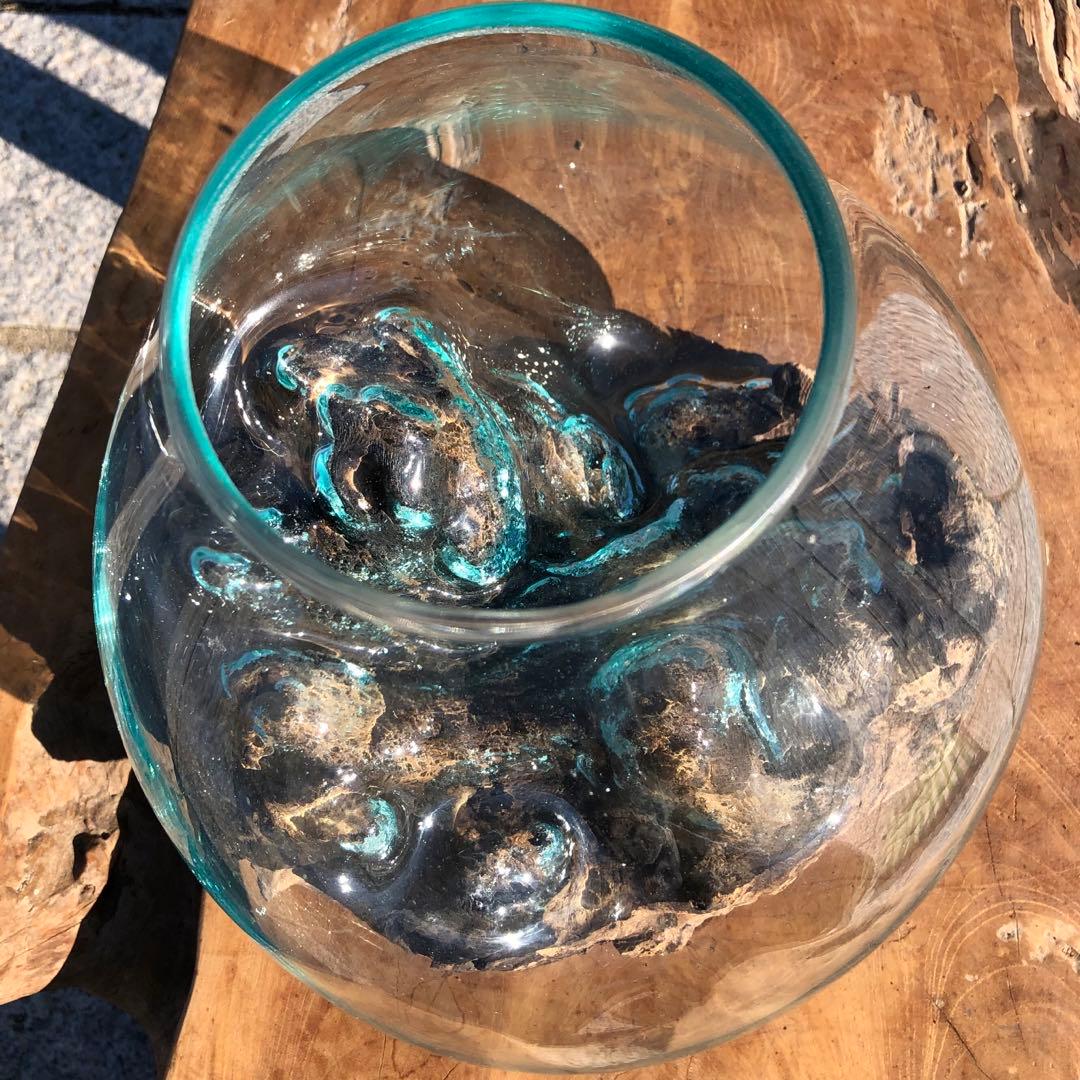 流木ガラス オブジェ特大A 花瓶 金魚鉢 ガーデニング テラリウム 観賞