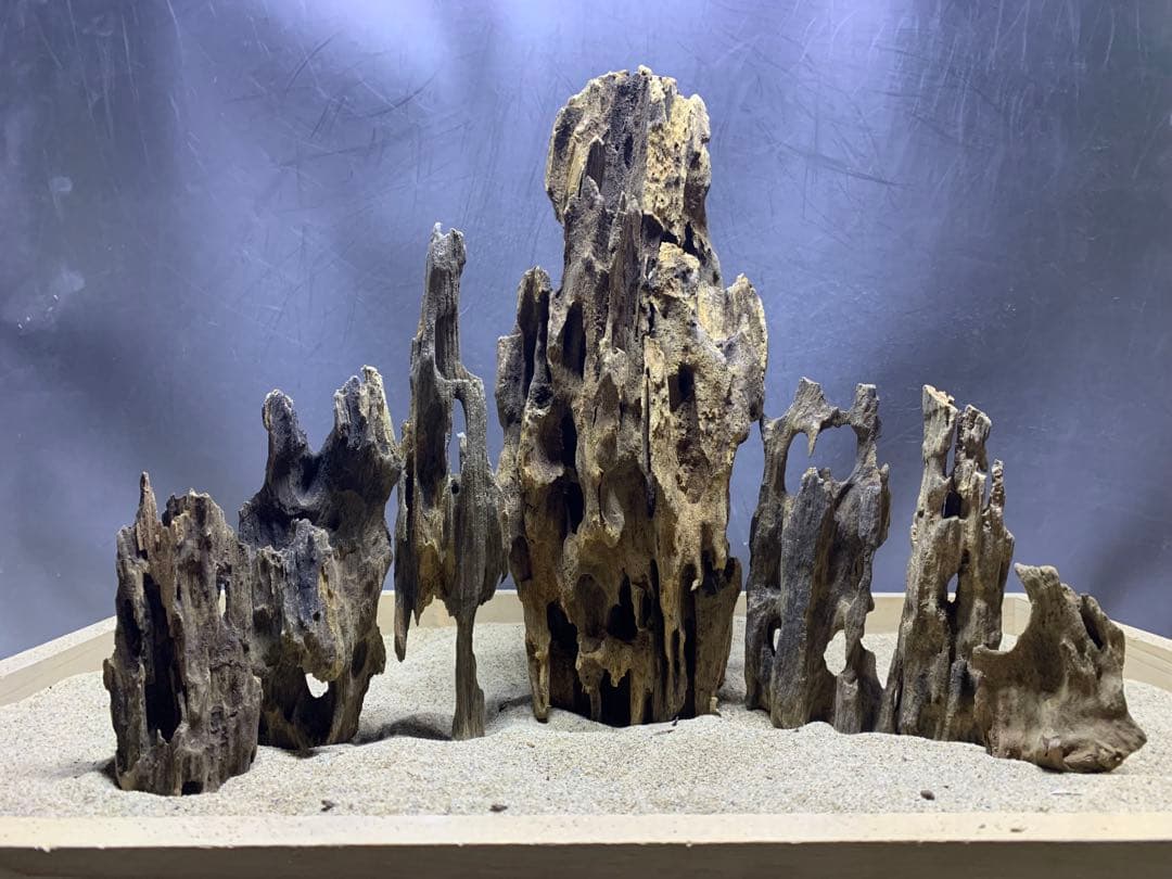 32[新品]マシンガンウッド7本☆水槽 レイアウト 流木 アクアリウム 60