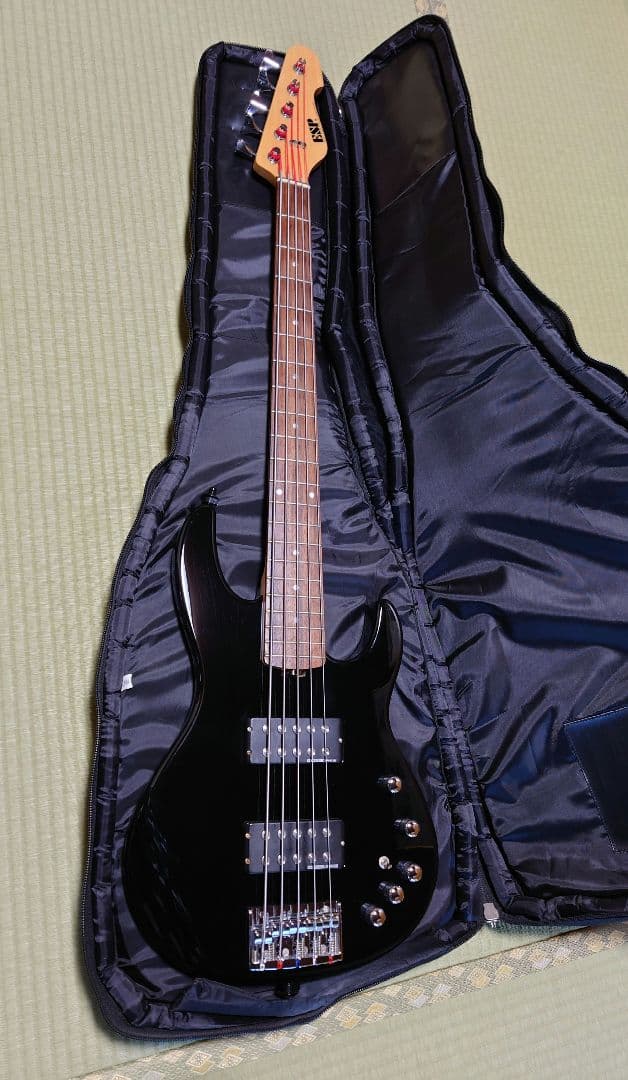 ESP AP-SL5 5弦ベース ESP純正ソフトケース(GIG BAG)付き ESP AP-SL5 5弦ベース ESP純正ソフトケース(GIG BAG)付き ESP AP-SL5 5