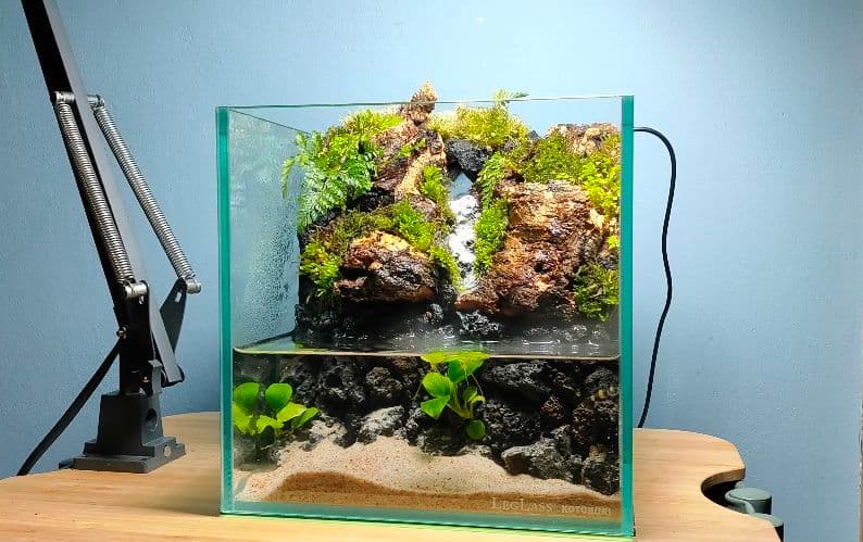 注文 【レイアウト済20cm水槽】ミストの滝が流れるアクアテラリウム