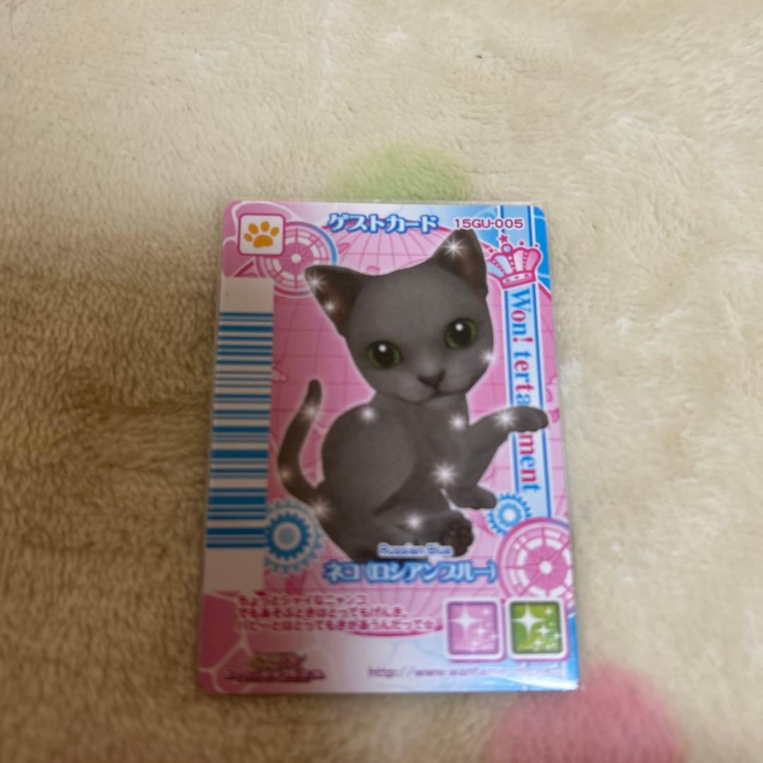 ワンタメ　カード　m＊プロフ必読様確認用