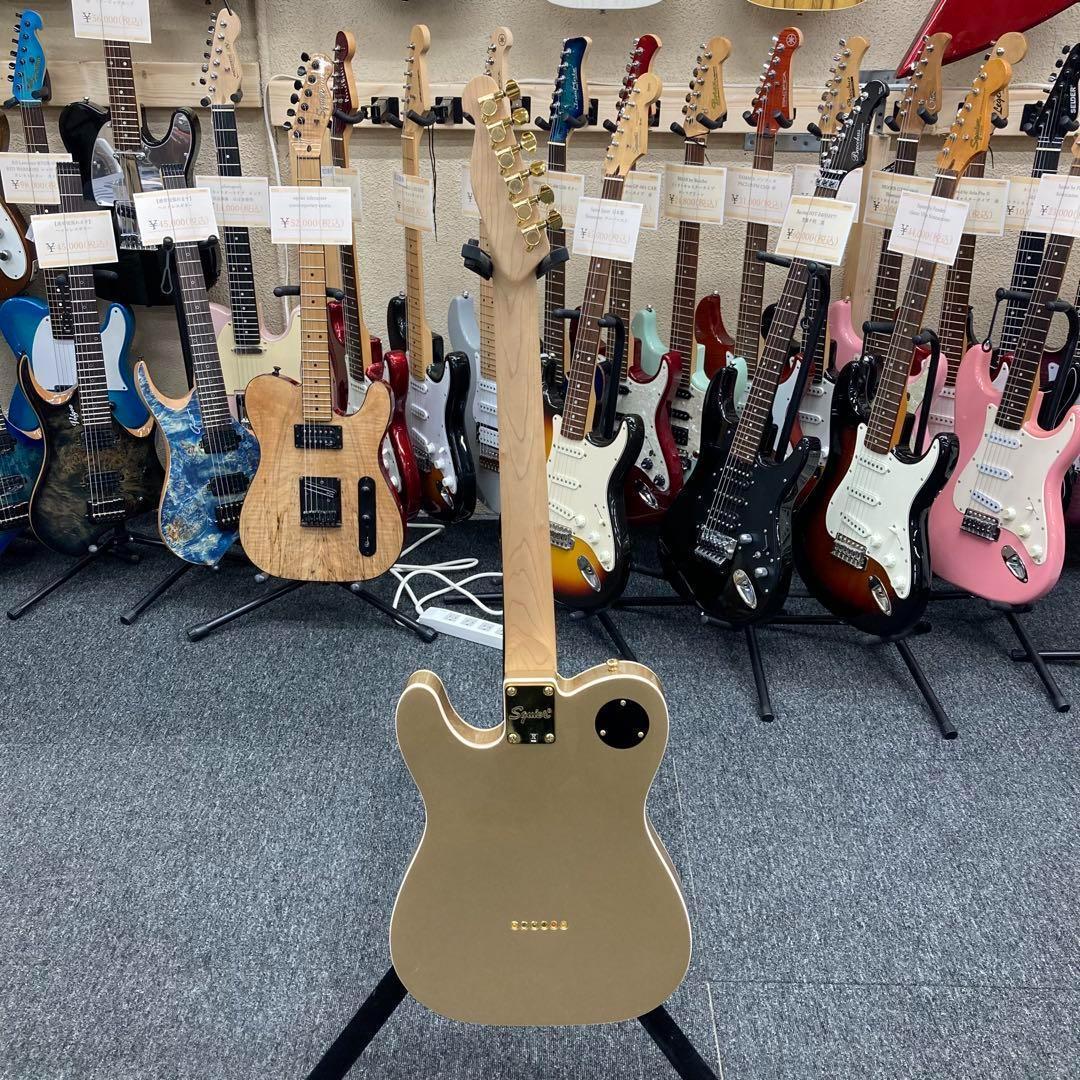 【9801】 True Temperament fretting system