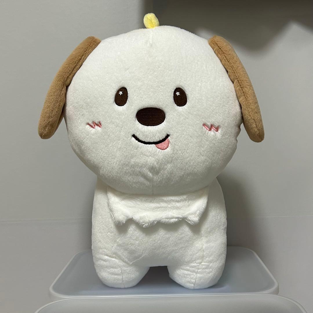 RIIZE 40cm doll アントン RIIZE 40cmぬいぐるみ アントン モンリョンイ RIIZE - 2024 RIIZE FAN