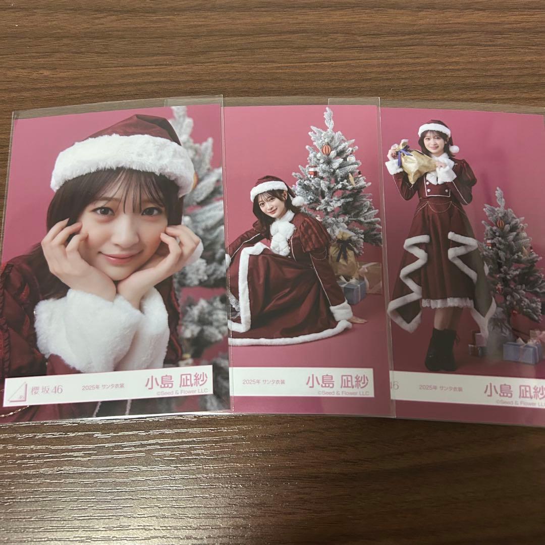 櫻坂46 小島凪紗 生写真 2025年 サンタ衣装 セミコンプ - メルカリ