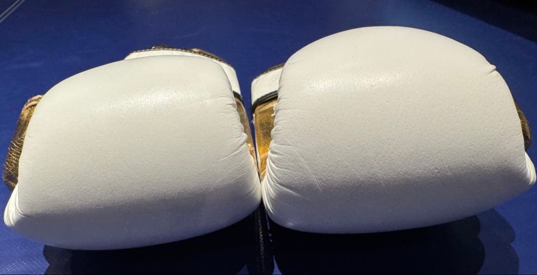 EVERLAST グローブ POWER LOCK ホワイト/ゴールド 16ozの通販はau PAY