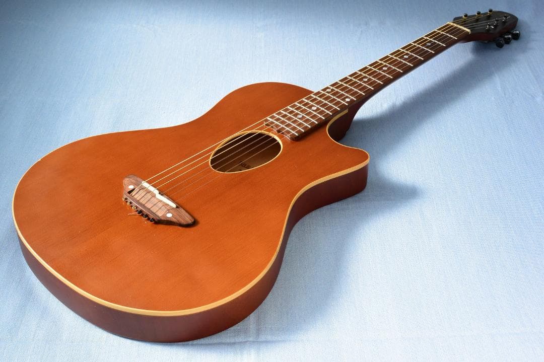 ESP BambooInn-K Char ナイロン弦 バンブーイン