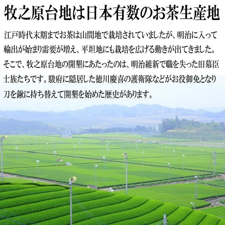 静岡茶 深むし茶360g×10個 送料無料 かのう茶店 お茶煎茶お買い得