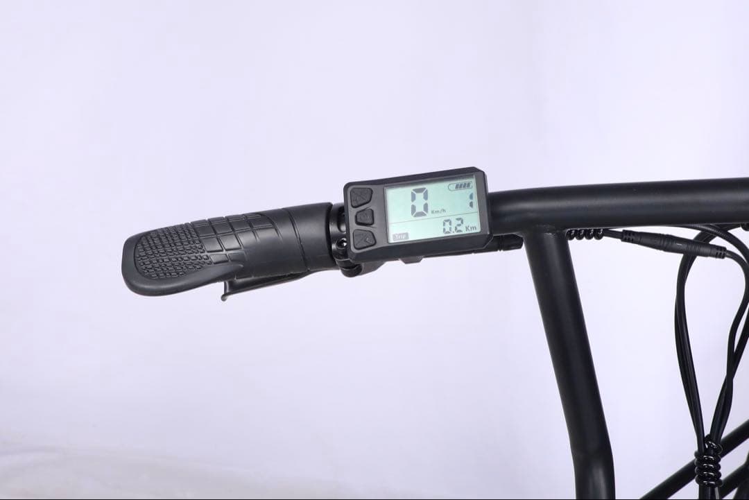 【新品】PANTHER 電動アシスト自転車 20インチ ファットタイヤ キャリア