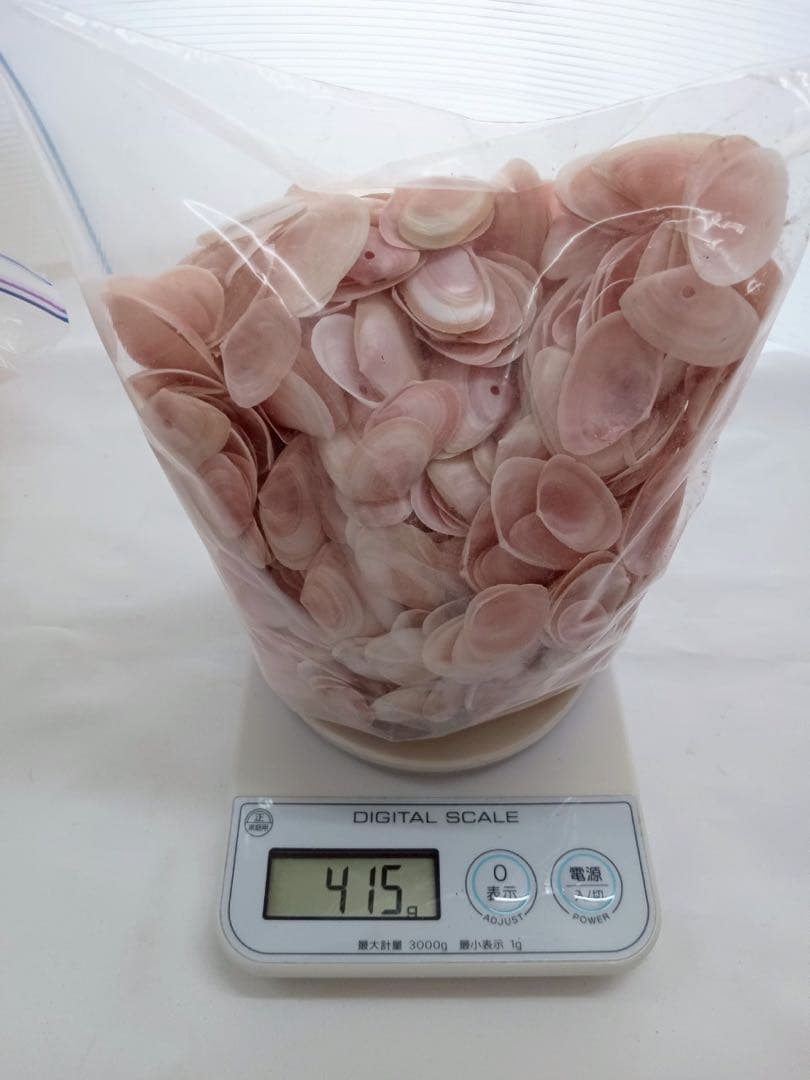 天然 桜貝 さくら貝 貝殻 中2 小1 計 約1kg+57インテリア パーツ