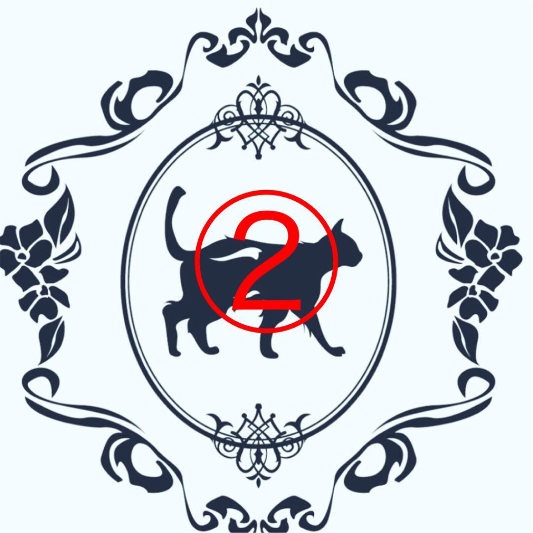 海外 PETテープ マスキングテープ 装飾 J68＃凋零誕生(PET) 当季限定