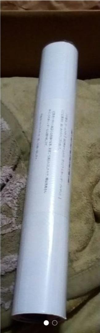 桐谷美玲　直筆サイン入り2019ホームメイトカレンダー本物保証新品未開封レア