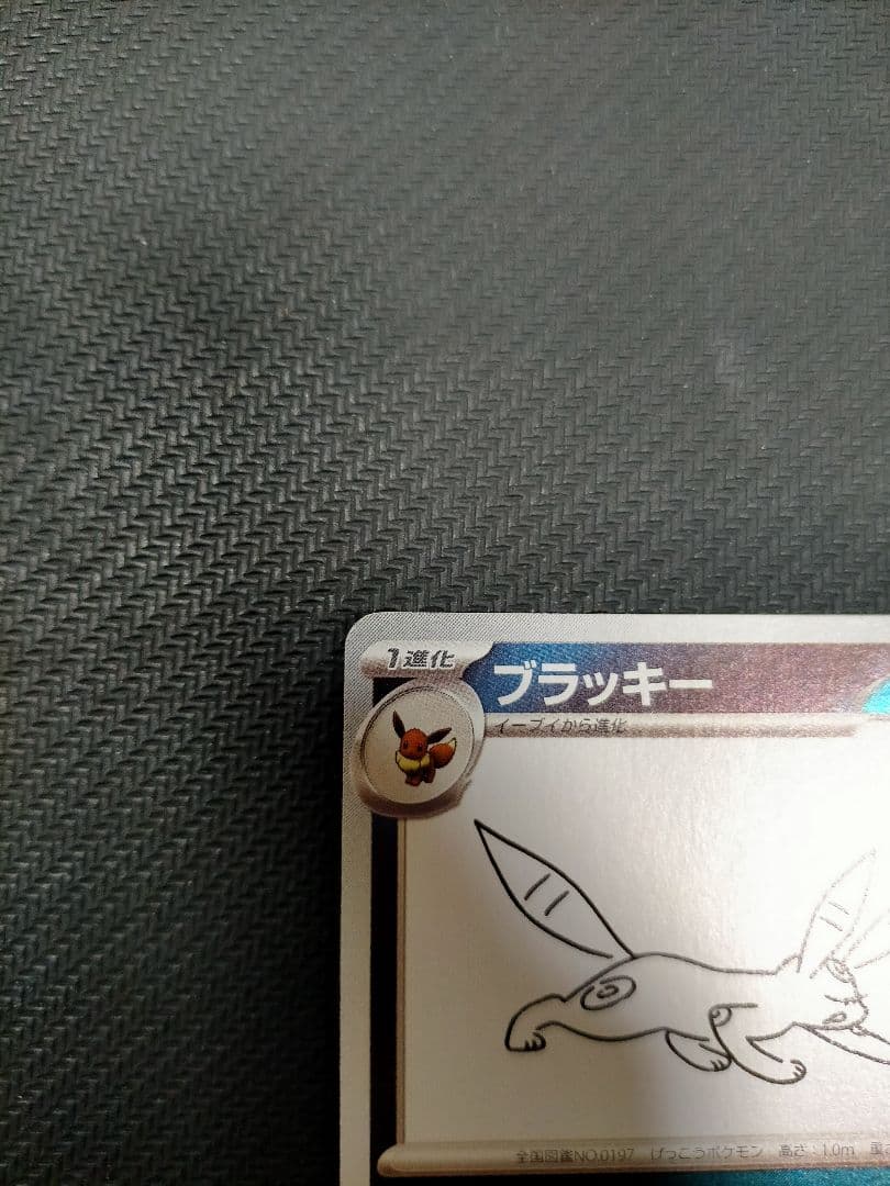 ブラッキー　プロモ