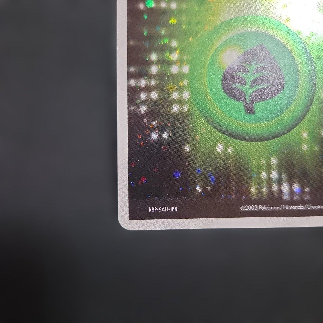 アクマグエネルギー草1枚 うずまきあり - メルカリ