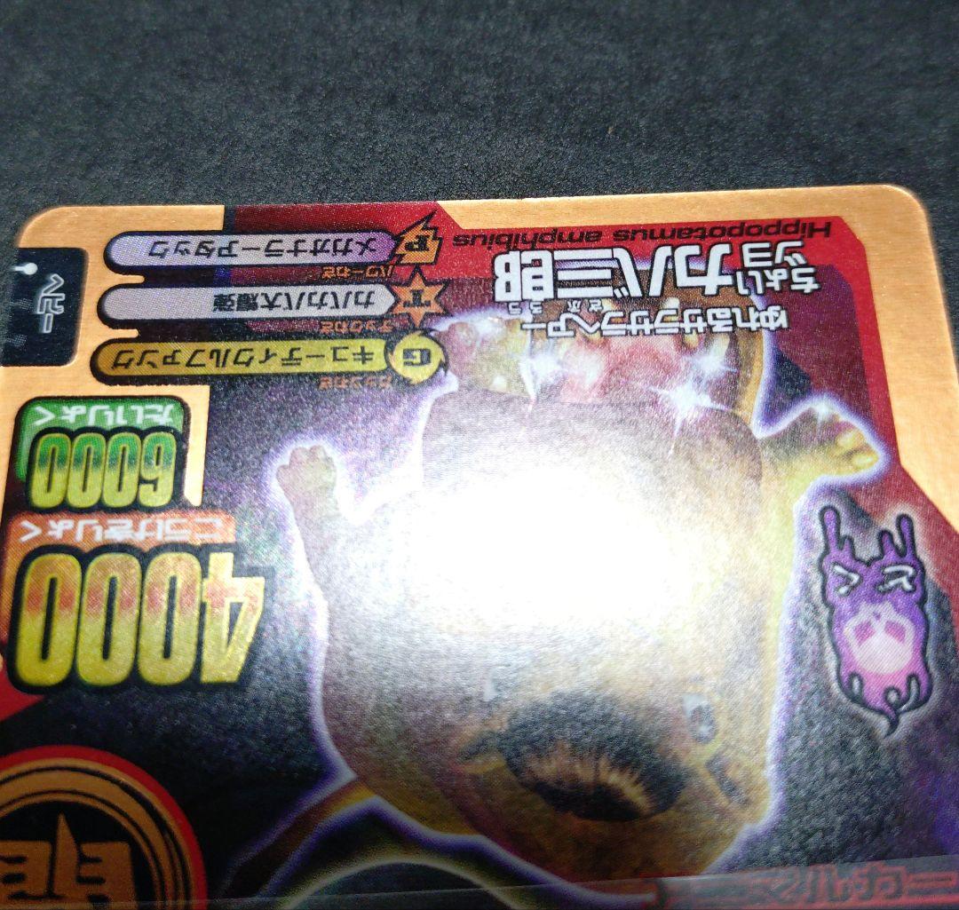 【超希少】ちょいワルカバ二郎／ちょいツヨカバ三郎アニマルカイザー銅キラ