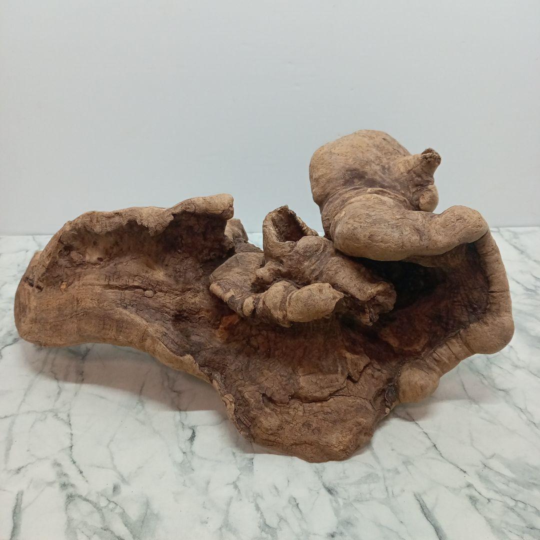 アク抜き済み流木【328】