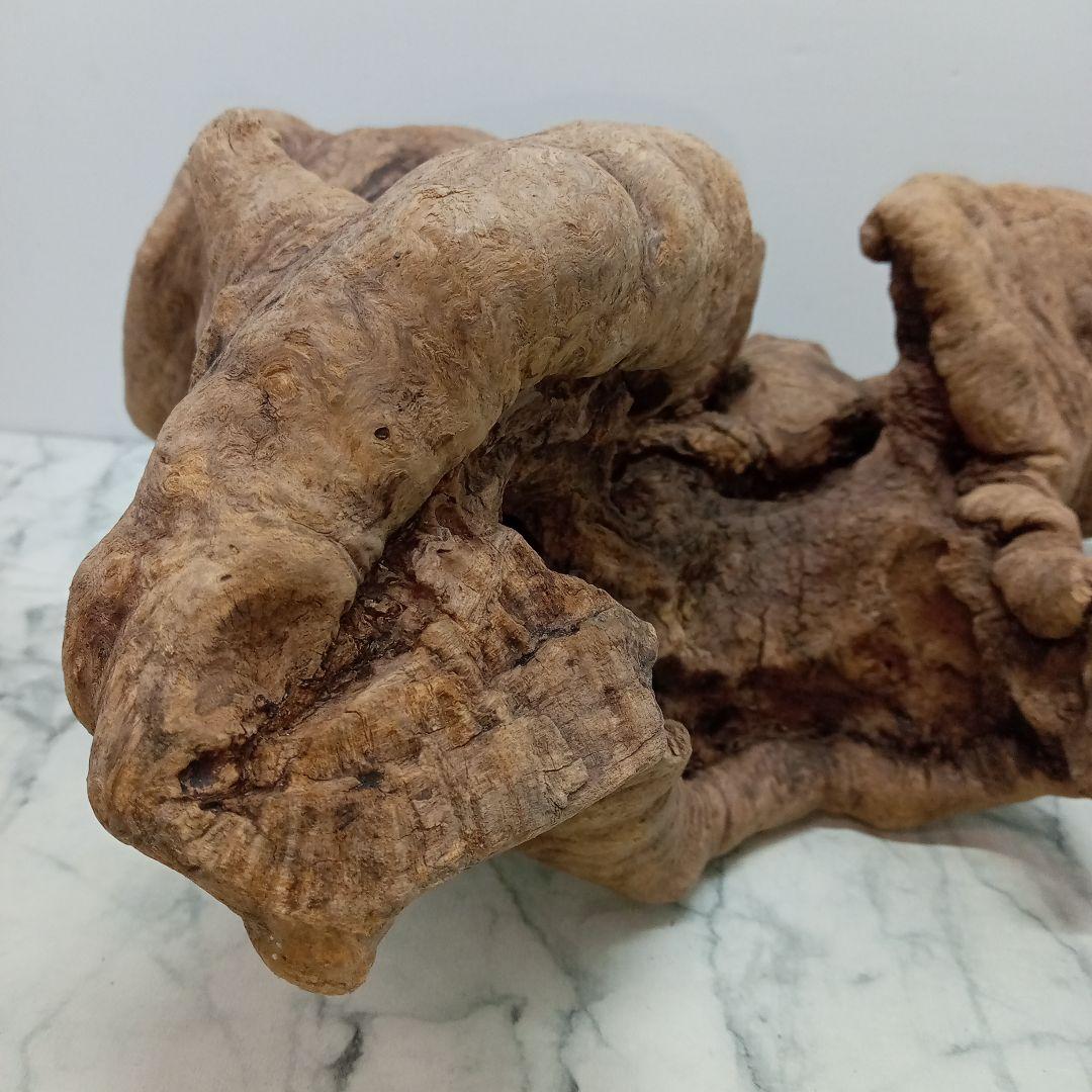 アク抜き済み流木【328】最終価格