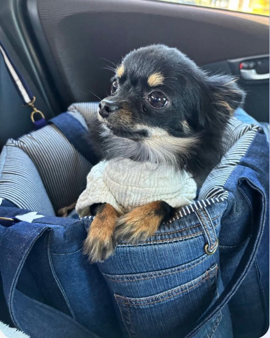 ドライブベッドデニムリメイク