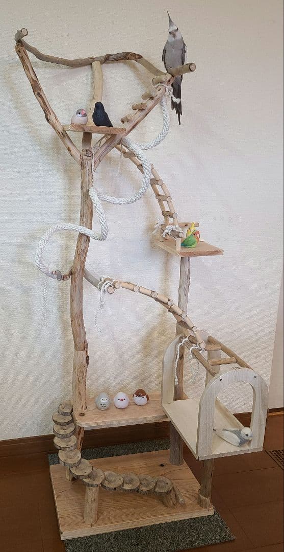 バードアスレチック オーダーページ＊⑥もちこオーダーページ バード