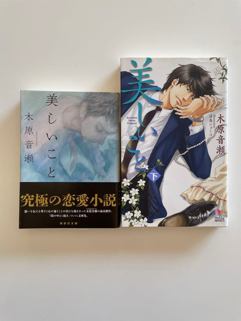 木原音瀬「美しいこと」2冊セット - メルカリ