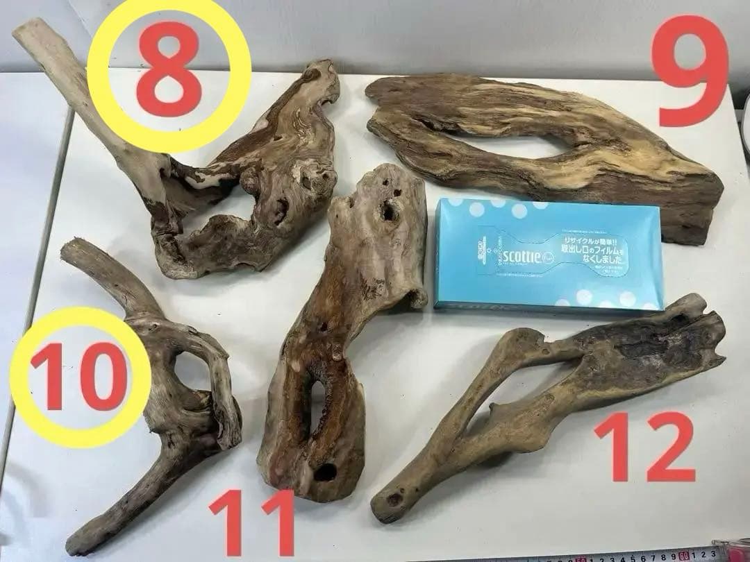 R70アク抜き済み流木 爬虫類シェルター レイアウト用 インテリア エア