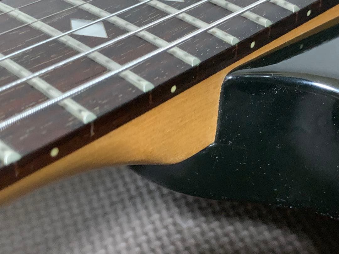 Chatting Bird Mockingbird モッキンバード hide