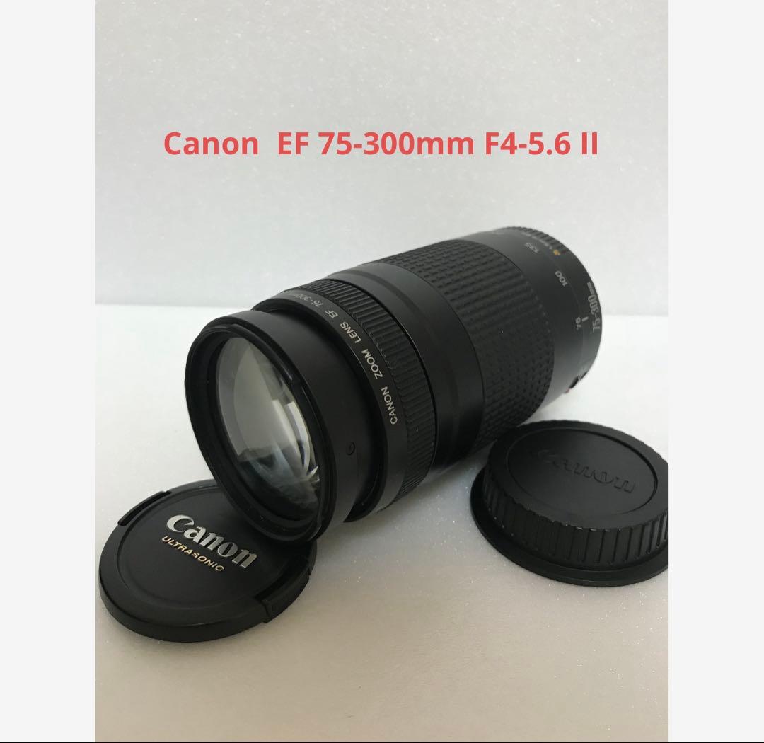 キヤノン/望遠レンズ/大迫力300㎜/Canon EF75-300 II - メルカリ