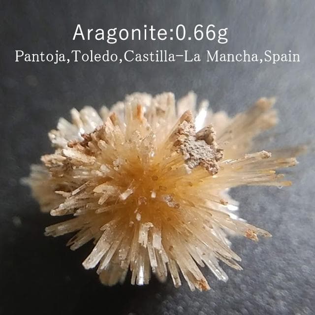 0.66g　アラゴナイト　かわいいウニゴナイト(仮称)　霰石