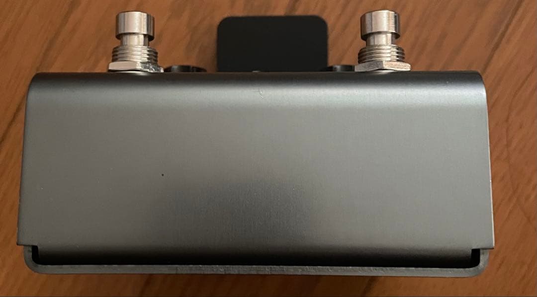 ギター Strymon El Capistan dTape Echo v1