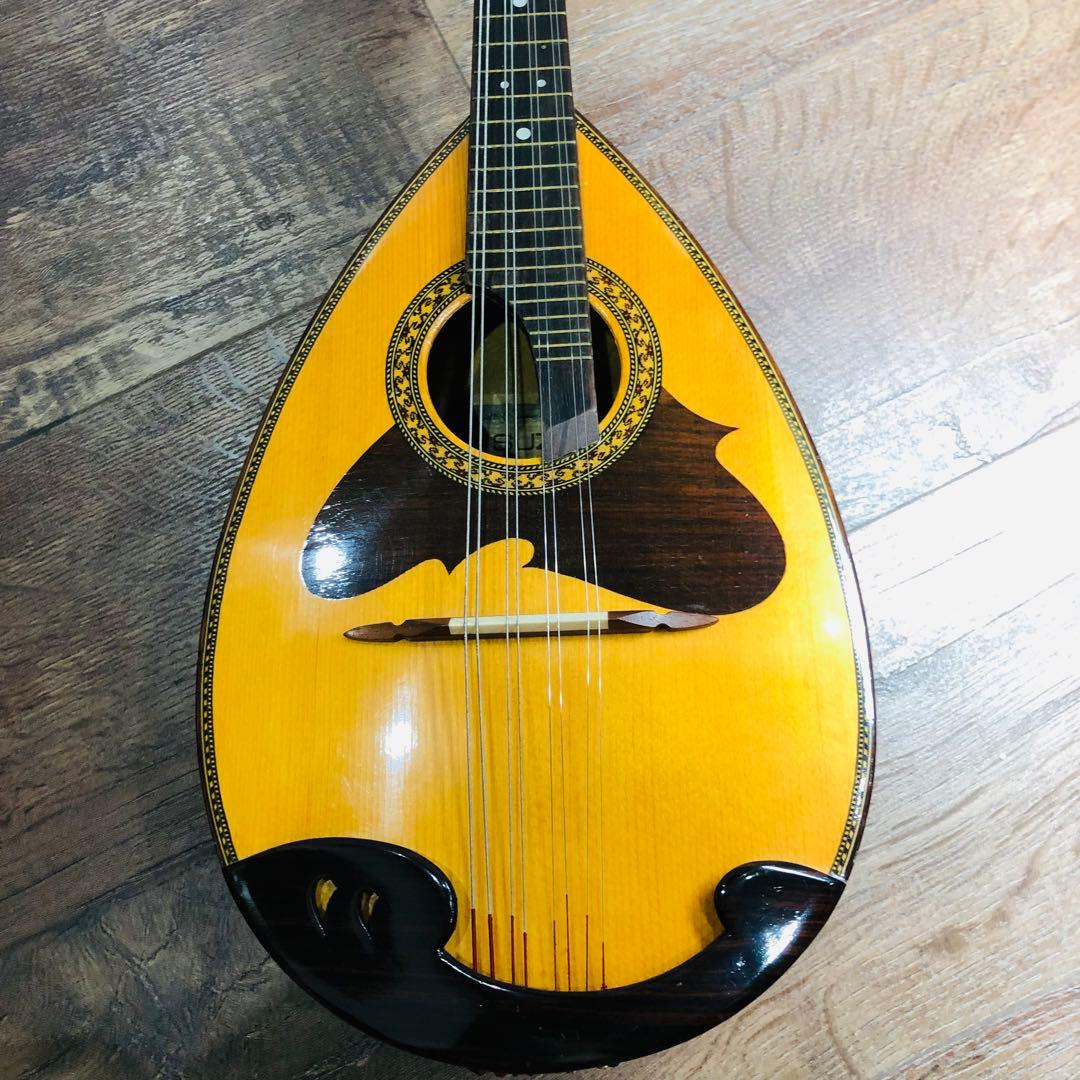 SUZUKI スズキ マンドリン M-218 ハードケース付