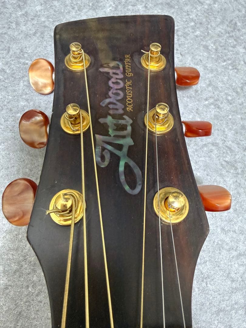 Ibanez Artwood AW1010C