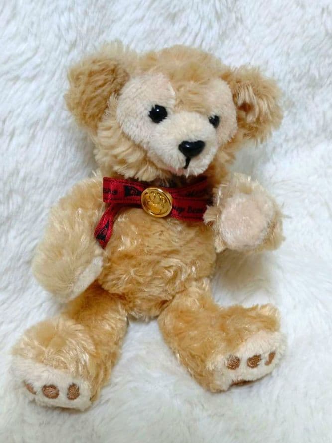 【激レア】ダッフィー　ディズニー　ケープコッド　廃盤　入手困難　初期　日本限定