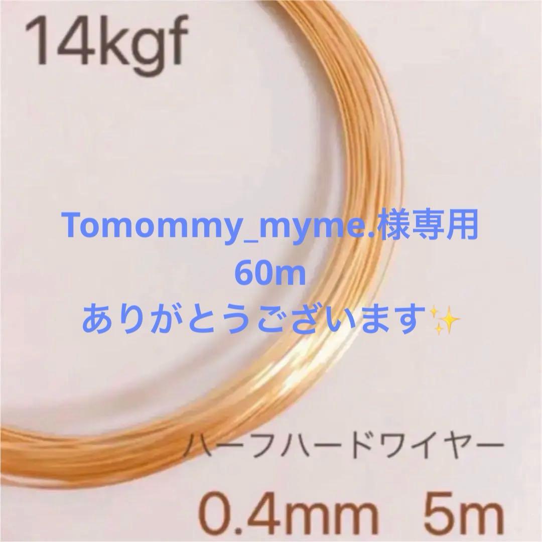Tomommy_myme. 14kgf 0.4ミリ　ワイヤー60m