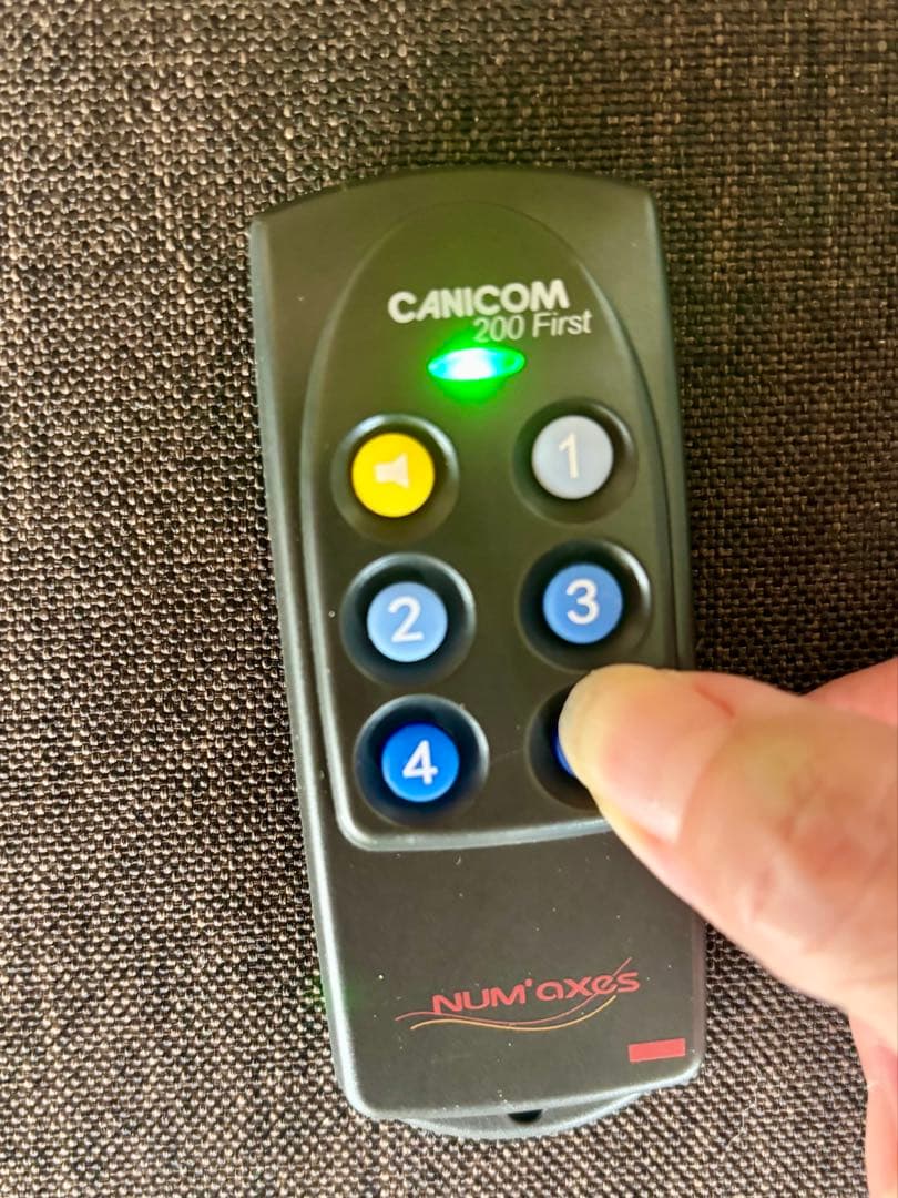 リモート ペットトレーニング器具 犬しつけ用首輪 ※電池交換要